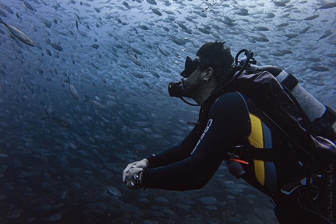 Scuba Diving - Excursion Highlights