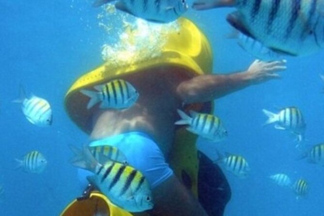 Scuba Doo Diving Sooters - Benefits of Scuba Doo Diving Scooters