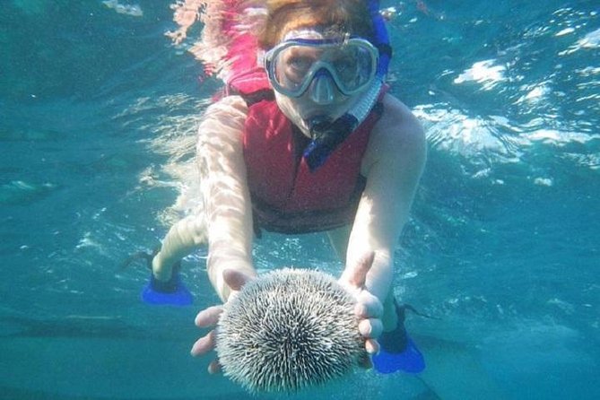 Scuba Doo Underwater Scooter in Punta Cana (Half Day) - Overview and Tour Details