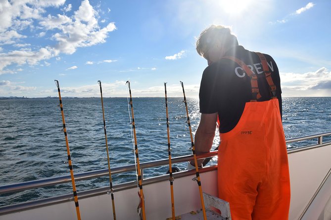 Sea Fishing Experience From Reykjavik - Overview of Sea Fishing Experience