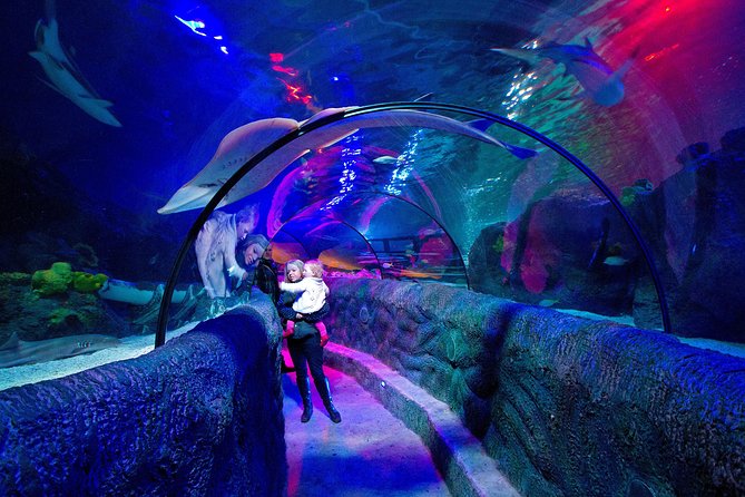 SEA LIFE Loch Lomond General Admission Ticket - Overview