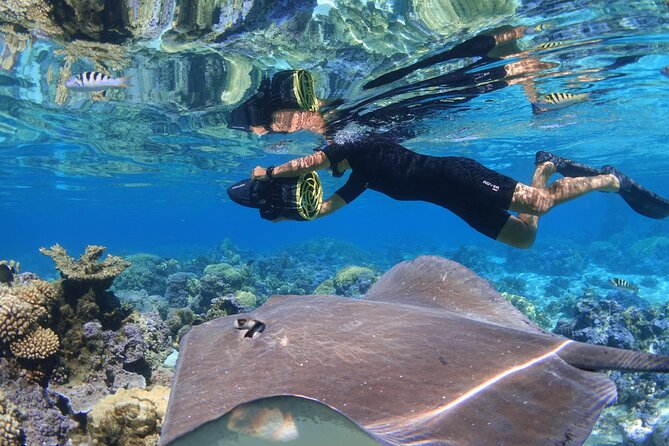 Sea Scooter Jet Snorkeling "Moorea Reef Adventure" - Tour Details