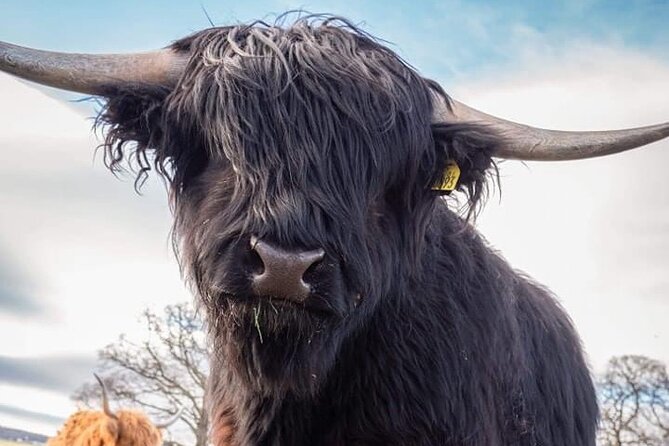 Secret Loch Ness, Inverness & Cawdor Castle Tour From Invergordon - Meeting and Pickup