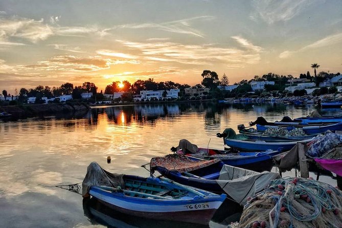 Self Guided Bike Tour of Carthage Archeological Site - Pricing and Booking