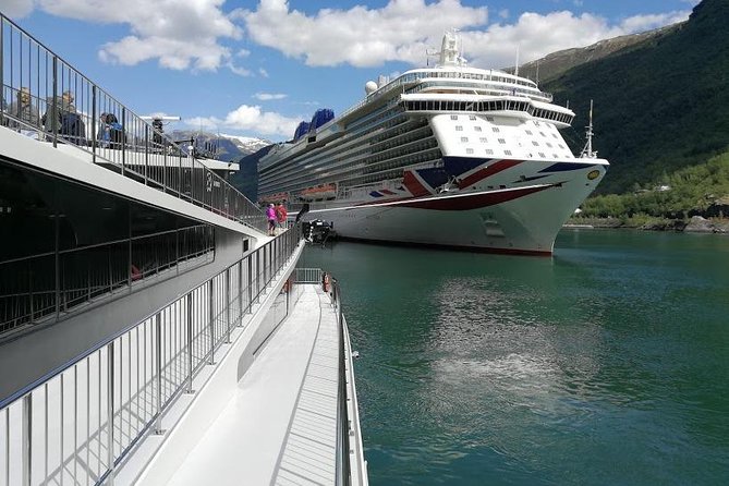 Self-Guided Day Tour - Premium Nærøyfjord Cruise & Flåm Railway - Tour Overview