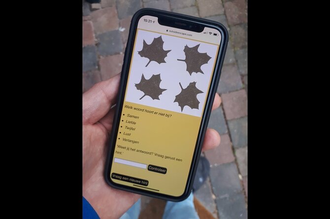 Self-guided Outside Escape Private Walking Tour in Groningen - Whats Included