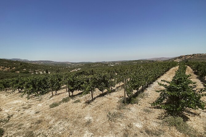 Semi-Private Heraklion Wine Country Tour - Pricing and Value