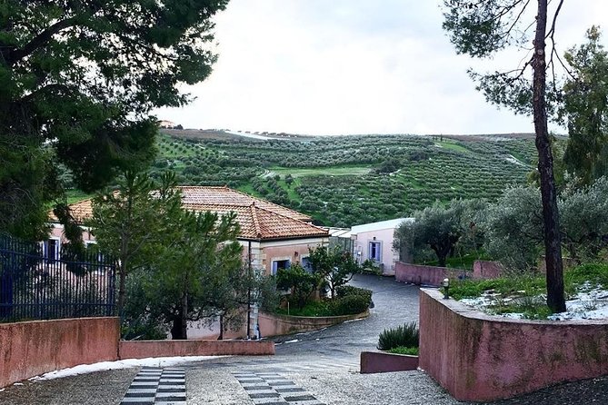 Semi Private Wine and Olive Oil Tour (Transfer & Lunch Incl.) - Tour Details