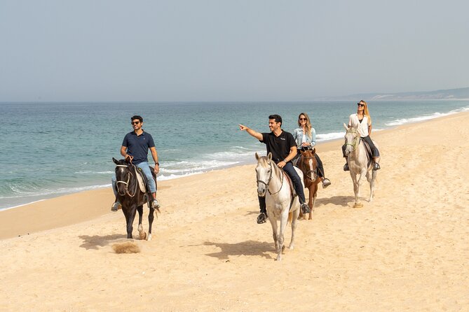 Setubal & Comporta Trip With Horseback Riding From Lisbon - Overview of Setúbal and Comporta