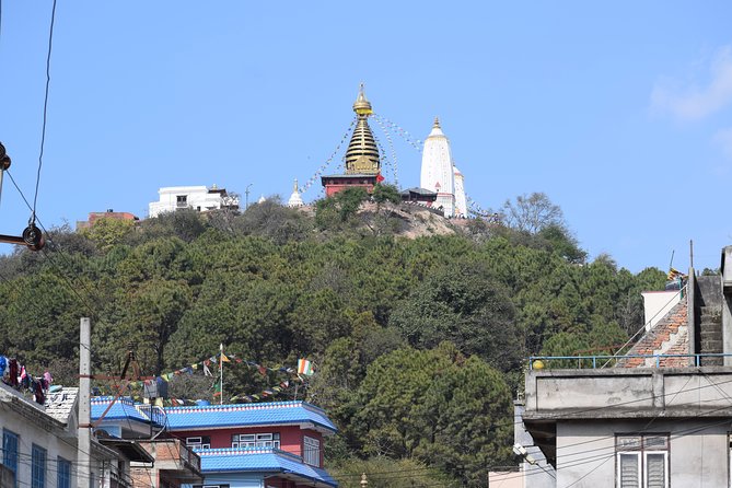Seven World Heritage Day Tour in Kathmandu Nepal - Pashupatinath Temple