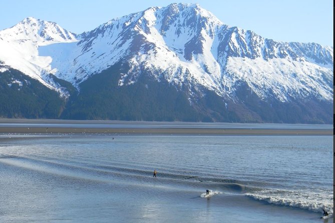 Seward to Anchorage Cruise Transfer and Private Tour - Tour Details