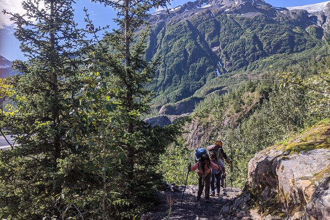 Seward Wilderness Hiking - Pricing and Booking