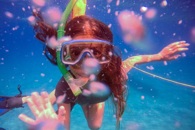Shared 2 Hours Sosúa Bay Snorkeling With Professional Guide - Activity Overview and Details
