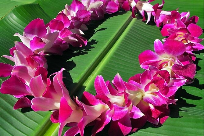 Shared Departure Transfer: Hotels to Kona International Airport - Overview of Transfer Service