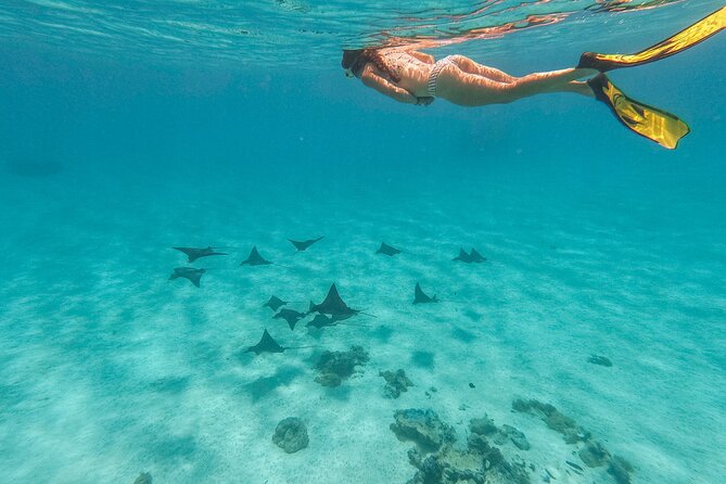 SHARED FULL DAY CULTURAL & LAGOON TOUR - Bora Bora Cultural Lagoon Tour - Traveler Photos and Reviews