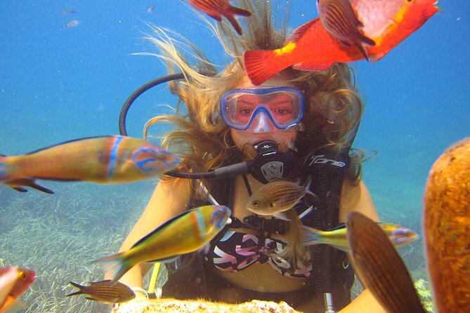 Shared Scuba Diving Under Water Museum - Overview of the Underwater Museum