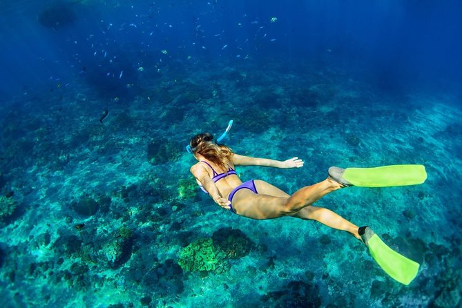 Shared Swim and Snorkel Tour in Rhodes - Tour Details