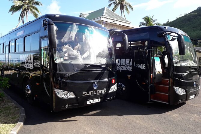Shared Transfer: Moorea Airport or Pier to Hotel - Good To Know