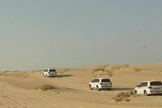 Sharing or Private Safari, Sand Boarding, Camel Ride, Inland Sea Quick Swim - Included Activities