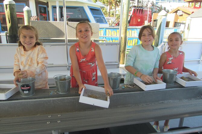 Shark Teeth and Shells, Dolphin and Shelling Tour Boat Clearwater Beach - Tour Overview and Highlights