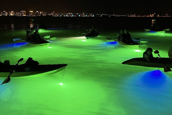 Sharkeys LED Illuminated Night & Sunset Tour on Glass Bottom Kayaks in Sarasota - Tour Overview and Inclusions