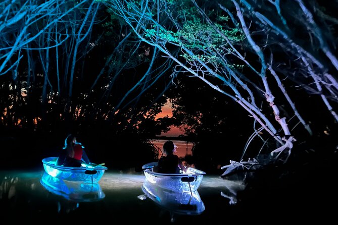 Shell Key Clear Kayak Glow in the Dark Tour - Tour Details and Highlights