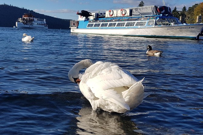 Shore Excursion: Lake District Adventure Sightseeing Day Trip From Liverpool - Itinerary Highlights