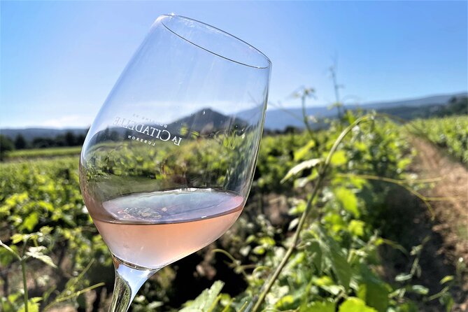 Shore Excursion Private Full Day Wine Tour in Provence From Toulon - Tour Highlights