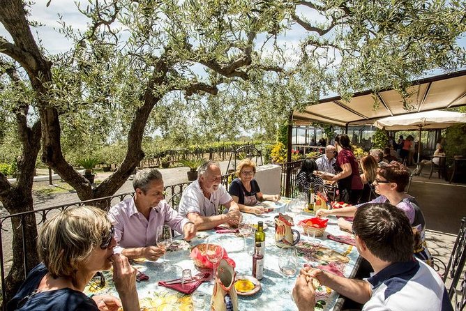Shore Excursion With Wine & Food Tasting at Cantina Del Vesuvio Winery - Traveler Experience at Cantina Del Vesuvio Winery