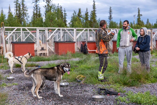 Short Norrbotten County Huskies Visit  - Kiruna - Meeting Point and Transportation