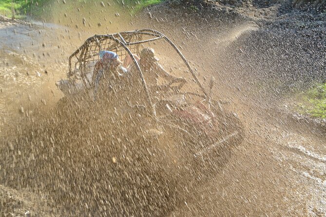 Side: Buggy Safari Tour - What to Expect