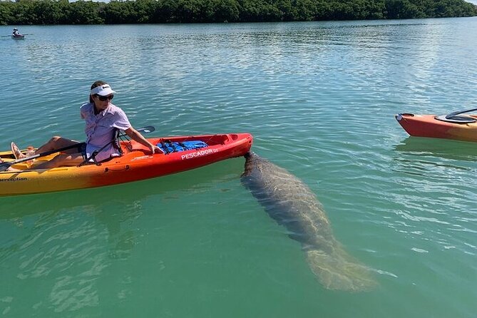 Siesta Key Guided Eco Tour - Price and Booking