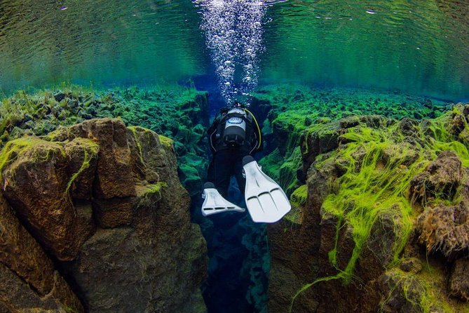 Silfra Fissure Freshwater Scuba Diving Tour From Reykjavik - Additional Information