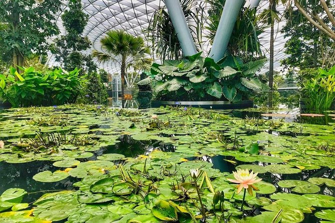 Singapore Changi Jewel Highlights Walking Tour - Tour Highlights