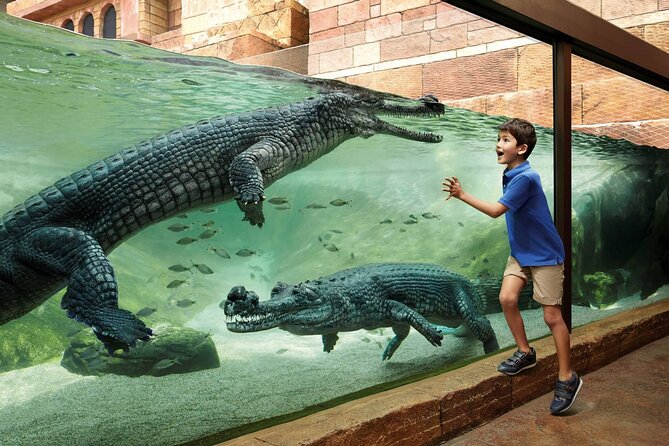 Singapore River Wonders & Night Safari ( Tickets & Transfer ) - Overview of Singapore River Wonders