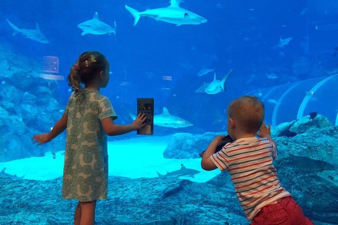 Singapore Universal Studio & S.E.A Aquarium-Combo One-Day Pass(Shared Transfer) - Admission Ticket Inclusions