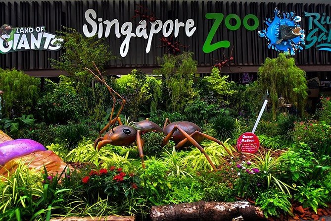 Singapore Zoo & River Wonder Day Ticket & Transfer - Cancellation Policy