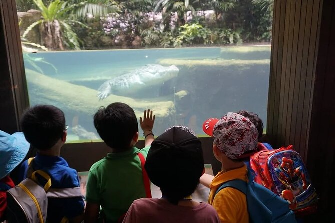 Singapore Zoo With Tram Ride Experience - Zoo Overview