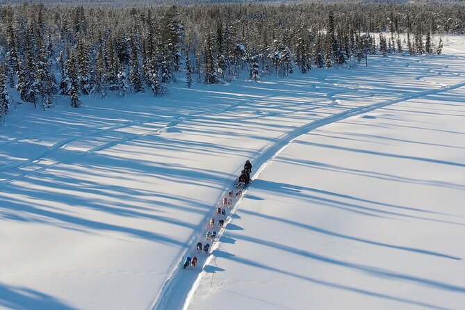 Sit Down Husky Ride Dog Sled Tour in Kiruna - Pricing and Booking