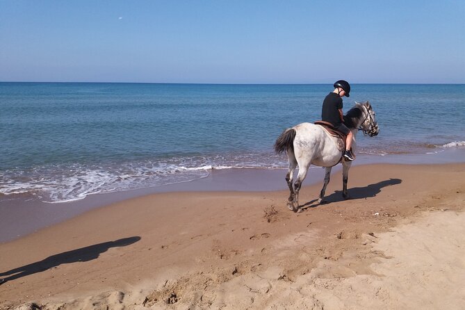 Skafidia Greece Horseback Riding on Beach and Forest - Horseback Riding Experience in Skafidia