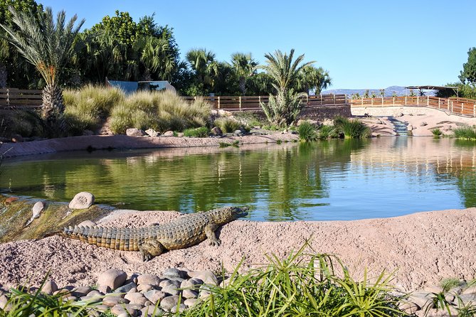 Skip the Line: Crocoparc Admission Ticket - Details of the Admission Ticket