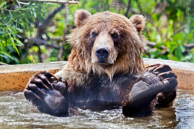 Skip the Line: Kamloops BC Wildlife Park Admission Ticket - Questions and Customer Support