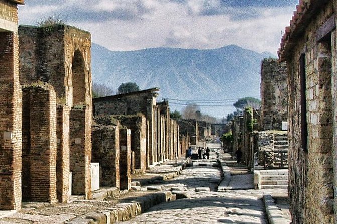 Skip the Line Private Tour of Pompeii From Sorrento - Tour Highlights