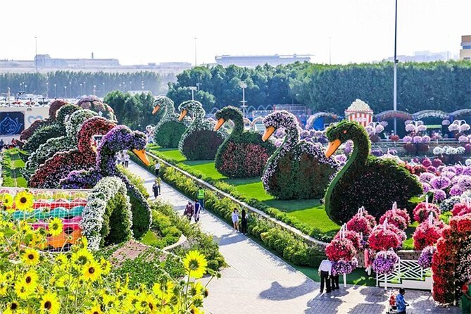 Skip The Line to Dubai Miracle Garden Entry Ticket - Overview of Dubai Miracle Garden