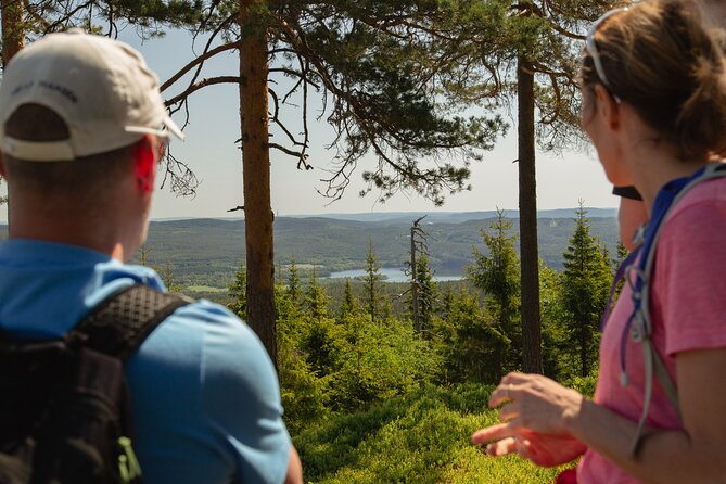 Skjennungen Forest Hiking Adventure  - Oslo - Overview of Skjennungen Forest Hike