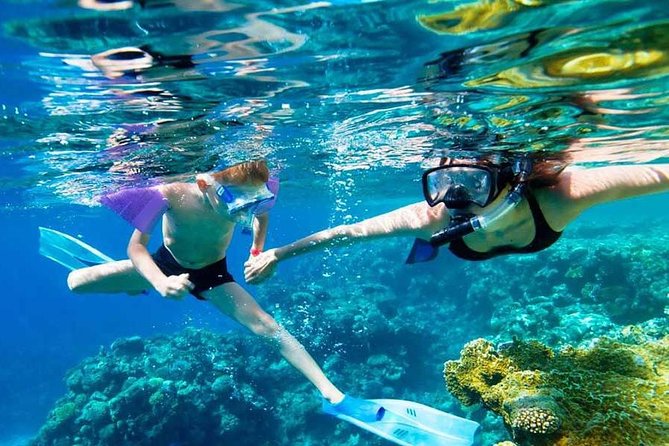 SkyReef Cozumel Snorkel & Tequila Tasting - Overview and Activities