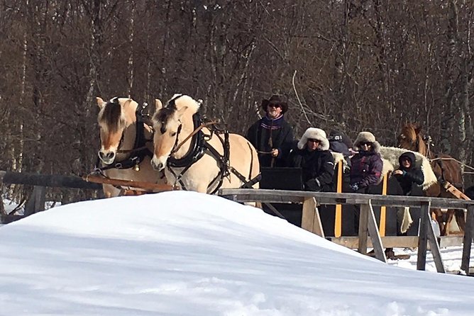 Sleigh Ride W/ Snacks - Experience Arctic Farm Life - Sleigh Ride Highlights