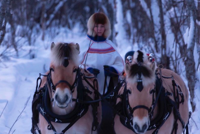 Sleigh Ride W/ Tapas Meal - Experience Arctic Farm Life - Private Sleigh Ride
