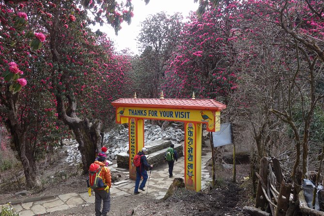 Small-Group 7-Day Guided Trek to Poon Hill - Kathmandu - Trek Overview