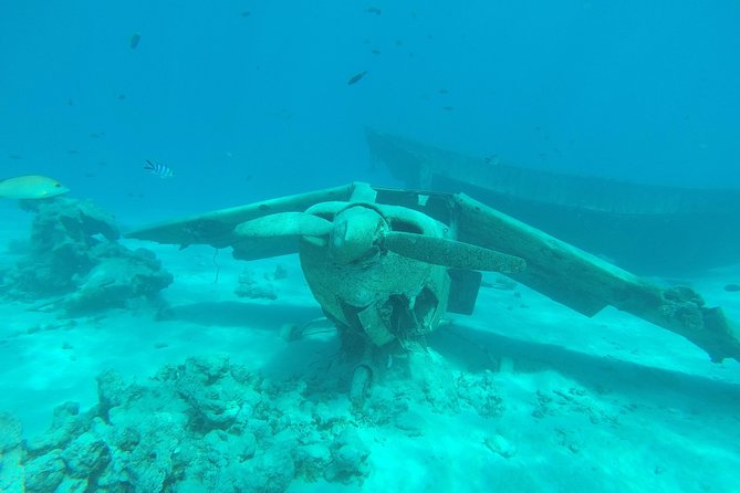 Small-Group 90-Minute Snorkeling Tour of Wrecks, Tahiti - Tour Details